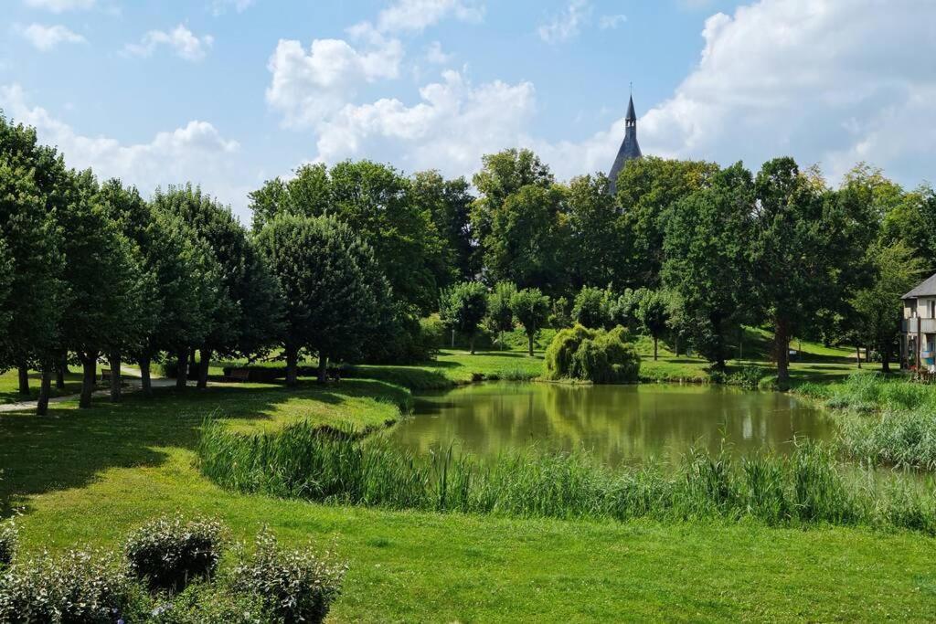 Maison Centre De Bellegarde Avec Jardin Et Terrasse Equipee D'Un Salon De Jardin Et D'Un Barbecue Cuisine Equipee 3 Chambres Avec 2 Lits Double 140X190 Et 2 Lits Simple Chauffage Poele A Granules Parking Gratuit Devant La Maison Bellegarde-du-Loiret Zewnętrze zdjęcie